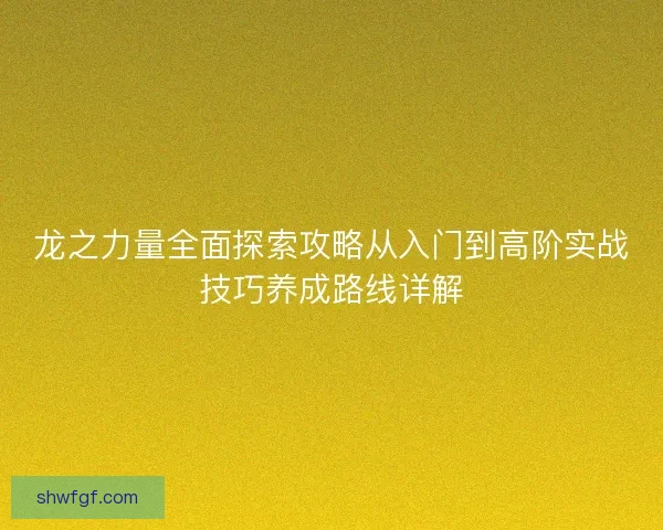 龙之力量全面探索攻略从入门到高阶实战技巧养成路线详解