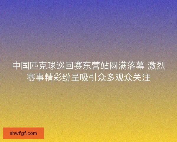 中国匹克球巡回赛东营站圆满落幕 激烈赛事精彩纷呈吸引众多观众关注