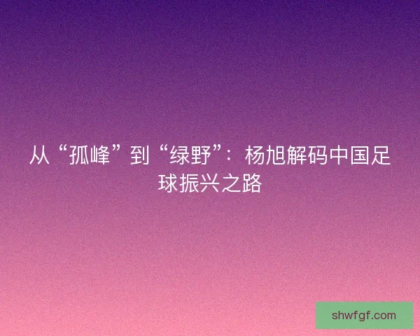 从 “孤峰” 到 “绿野”：杨旭解码中国足球振兴之路