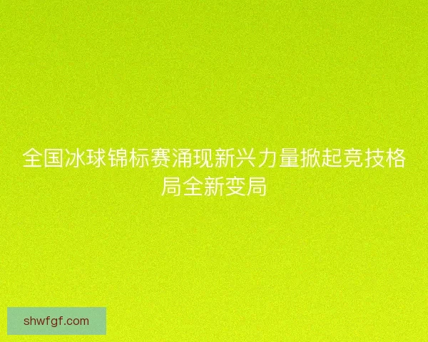 全国冰球锦标赛涌现新兴力量掀起竞技格局全新变局