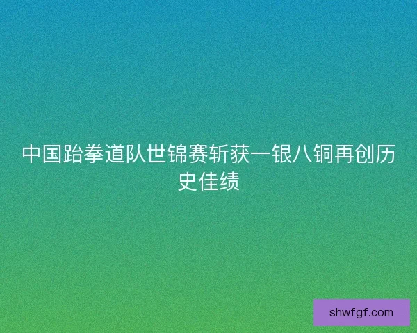 中国跆拳道队世锦赛斩获一银八铜再创历史佳绩
