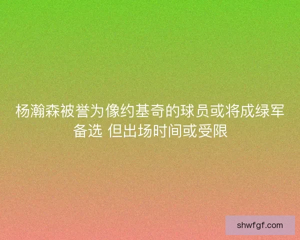 杨瀚森被誉为像约基奇的球员或将成绿军备选 但出场时间或受限
